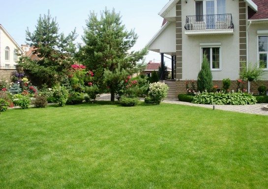 как лучше навести красоту на участке