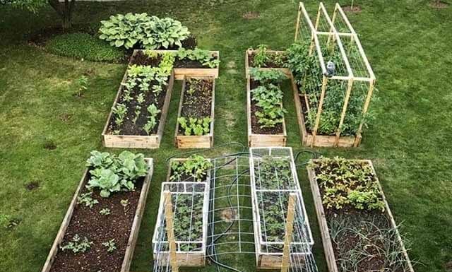 100 фото красивых дачных огородов разного стиля и размера