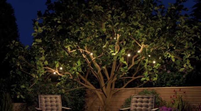 Как выбрать светодиодное освещение?