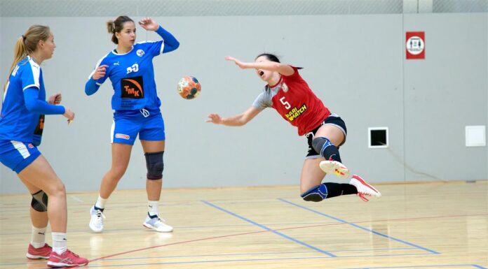 Где лучше всего делать ставки на спорт?