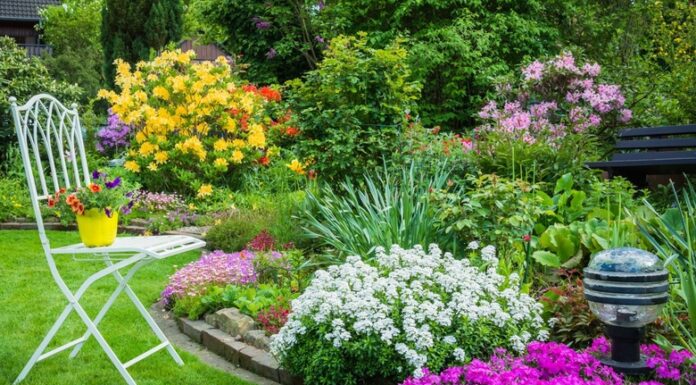 Что посадить весной на дачном участке: цветы, овощных культур, что посадить в мае