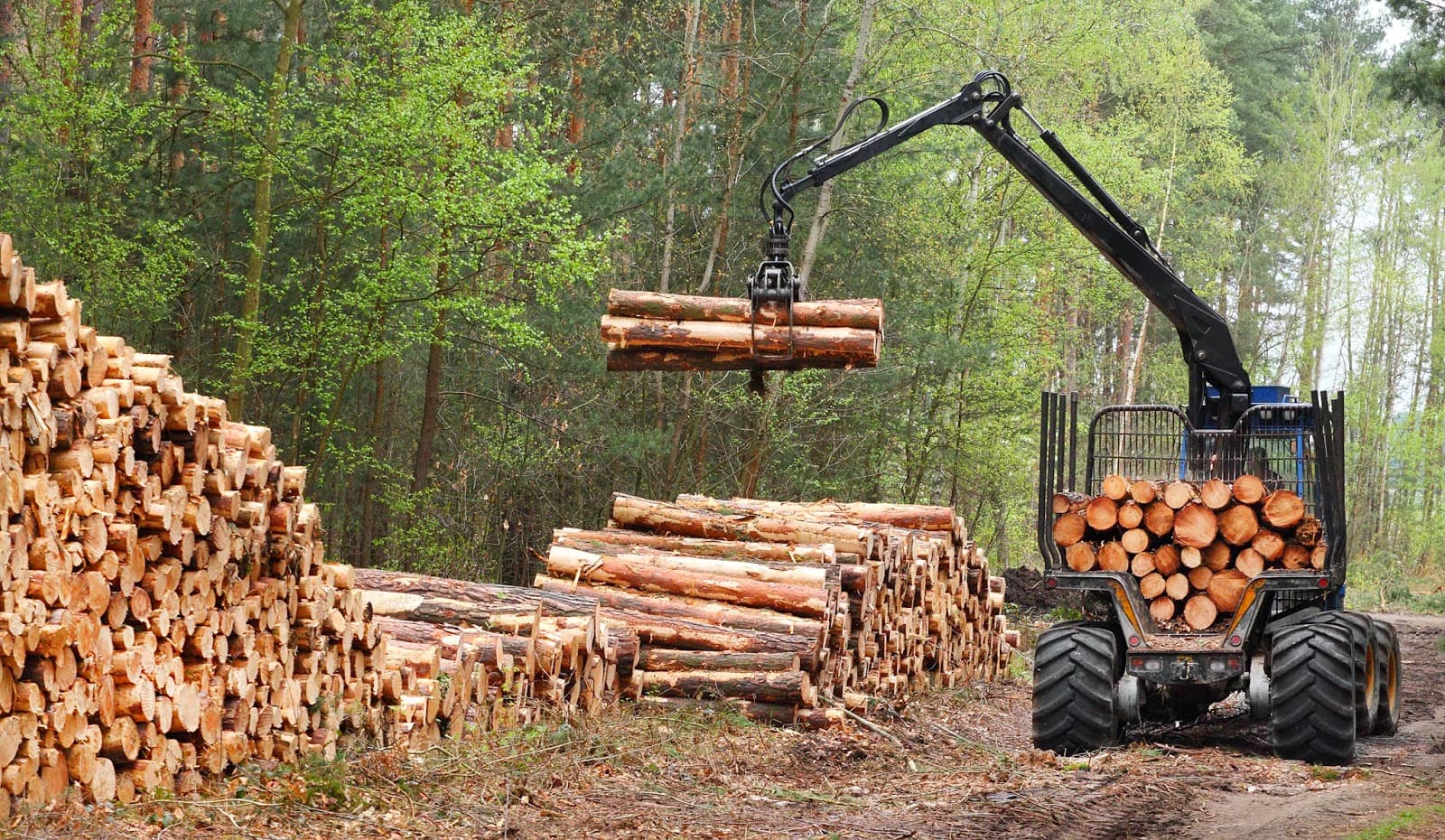Лесозаготовка деревообработка. Лесозаготовительная отрасль Лесной промышленности. ДВК Вуд лесозаготовка. Пинега лесопромышленный комплекс. Чунский ЛПК вывозка леса.
