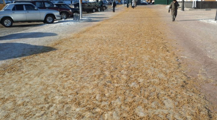 Пескосоль: что это за смесь и для чего она нужна?