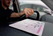 Водительское удостоверение — все, что вам нужно знать