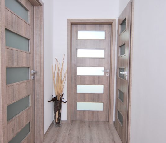 Плюсы дверей из экошпона