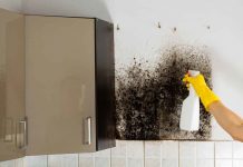 Как удалить плесень дома навсегда