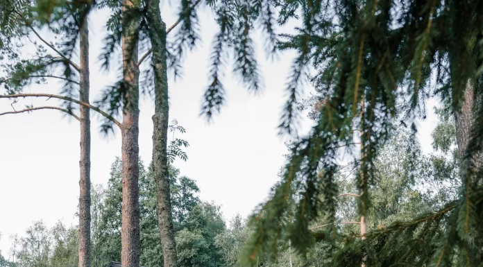 Быстровозводимые дома: когда требует срочная стройка