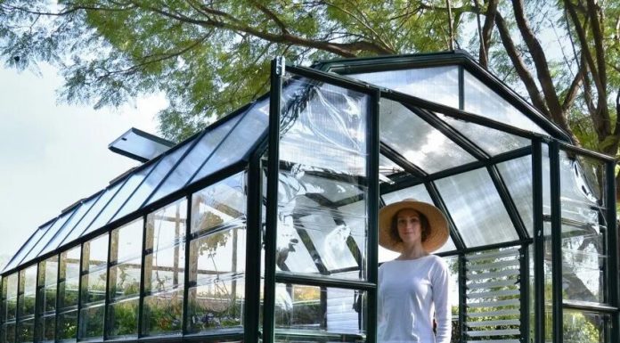 Заботимся об урожае заранее: как выбрать пленку для теплиц