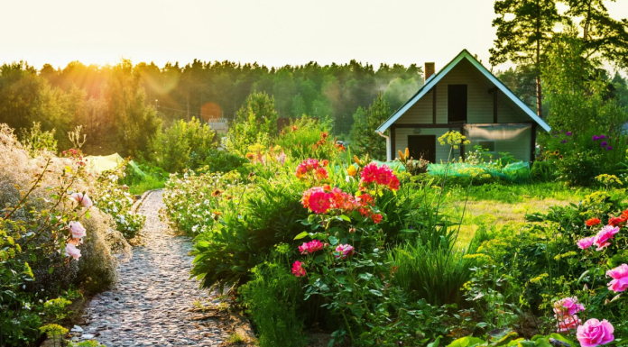 Приобретение дачного участка: советы и рекомендации