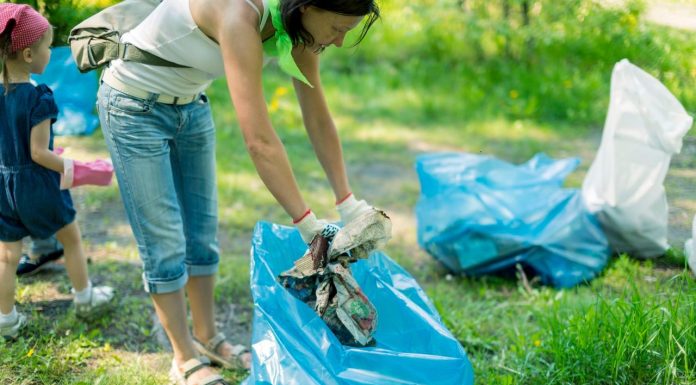 Пакеты для мусора: выбираем эффективность и экологичность