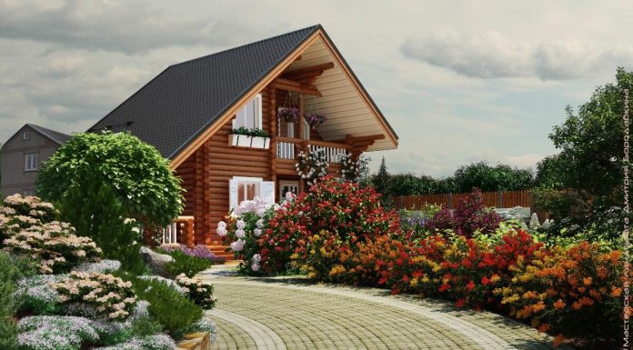 Как правильно подготовиться к покупке дачного участка