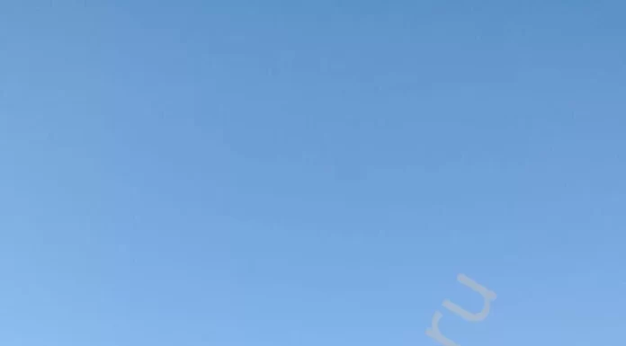 Перевозка спецтехники: надежность, профессионализм, безопасность