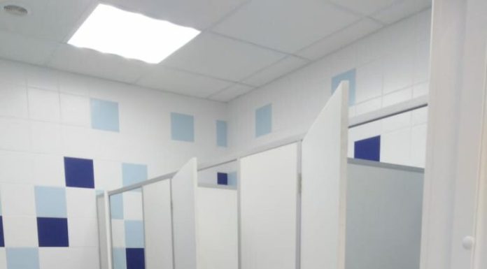 Сантехнические перегородки: все, что вам нужно знать