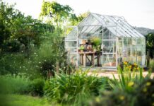 Теплица: Ваш помощник в круглогодичном садоводстве
