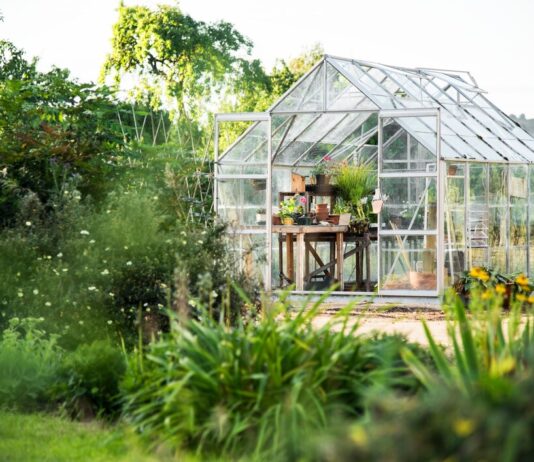 Теплица: Ваш помощник в круглогодичном садоводстве