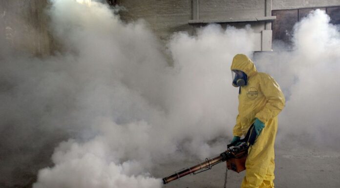 Что такое фумигация: определение, применение и значение