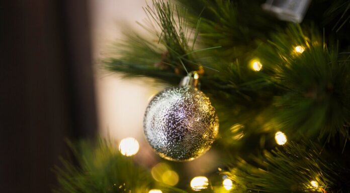 Елки новогодние: Традиции, разновидности и выбор