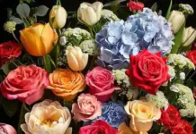 Почему заказать цветы через сервис AzaliaNow лучше, чем покупать в магазине?