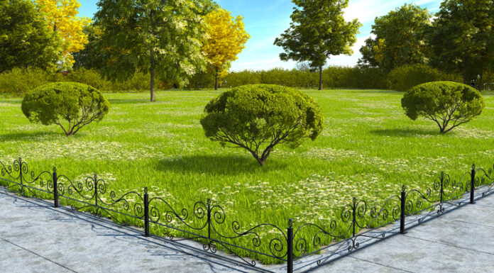 Эстетика и практичность газонных пешеходных ограждений