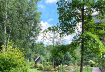 Благоустройство участка под ключ: как получить красивую и удобную территорию без хлопот