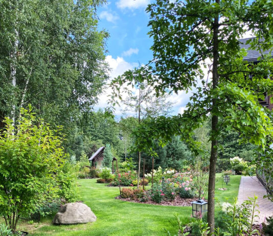 Благоустройство участка под ключ: как получить красивую и удобную территорию без хлопот