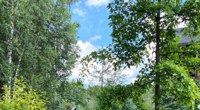 Благоустройство участка под ключ: как получить красивую и удобную территорию без хлопот